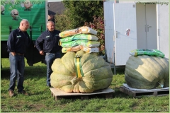 Pompoenfeest Wildert Weging-481-BorderMaker