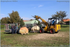 Pompoenfeest Wildert Weging-65-BorderMaker