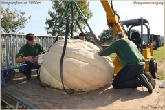 Pompoenfeest Wildert Weging-73-BorderMaker