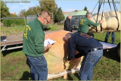 Pompoenfeest Wildert Weging-80-BorderMaker