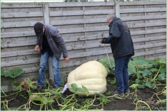 Pompoengenootschap BBQ 2018-138-BorderMaker