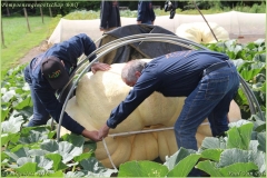 Pompoengenootschap BBQ 2018-32-BorderMaker