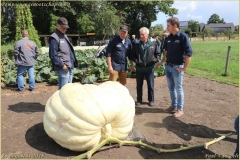 Pompoengenootschap BBQ 2018-38-BorderMaker