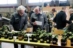 Verdeling-plantjes-2023-20230420-Planten-verdeling-13