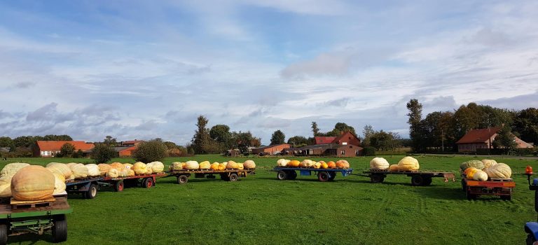 Loading Pumpkins