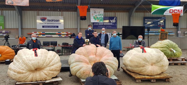 GPC Pumpkin weigh-off Belgium 2020