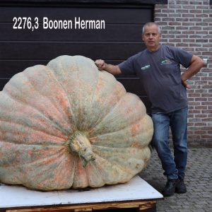 2276,3BoonenHerman2022