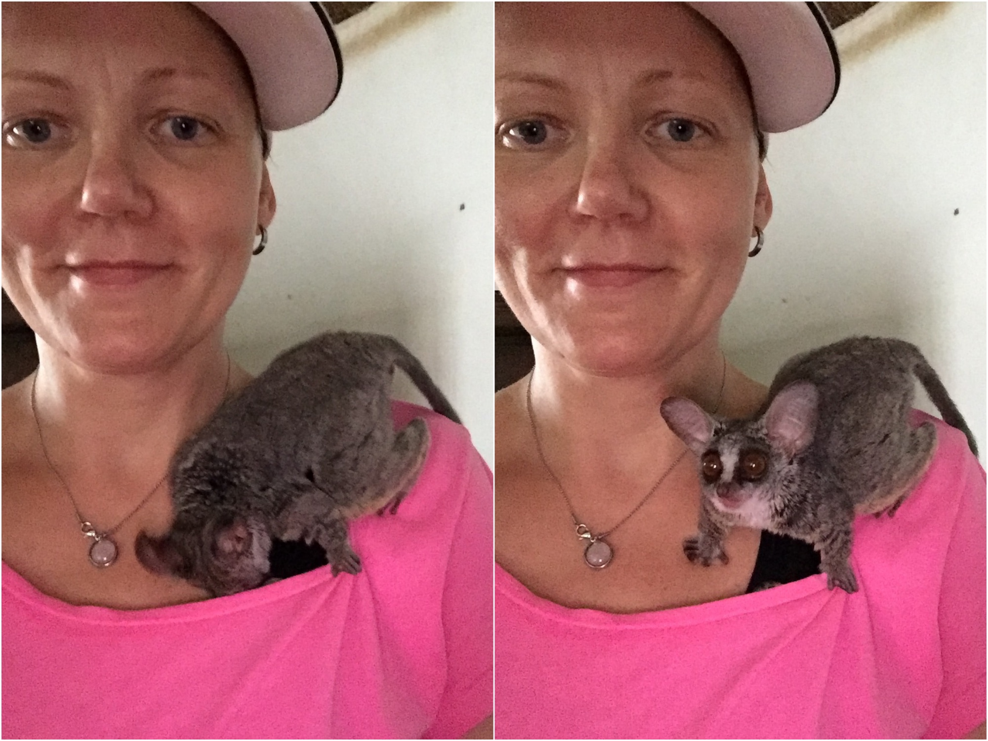 charnette woman with bush baby volunteer in zimbabwe