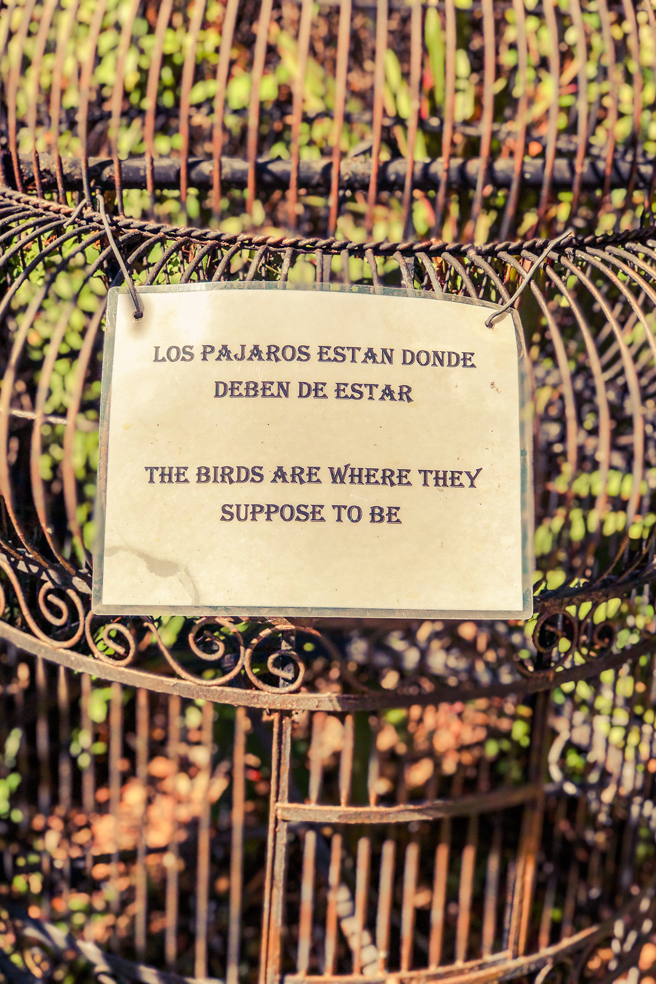 merida empty birdcage