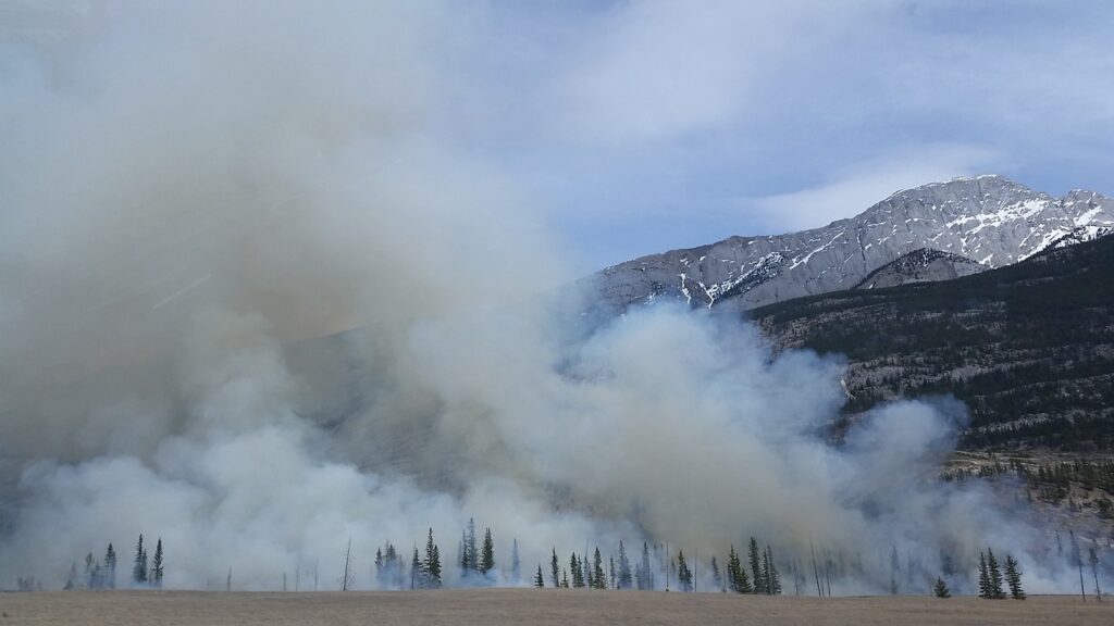forest fire, wildfire, smoke