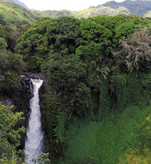 hawaii, waterfall, tropical