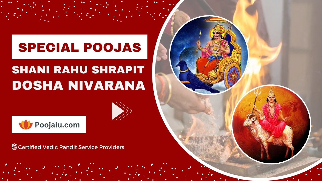 Pandit For Shani Rahu Shrapit Dosha Nivarana