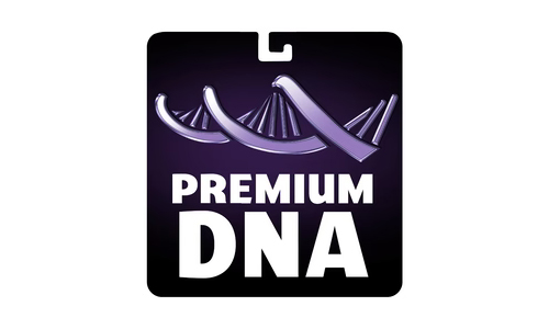 Premium DNA Toys