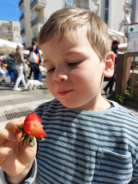 reizen-met-kleine-kinderen-Puglia-ostuni-aardbeien