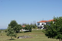 SONY DSC