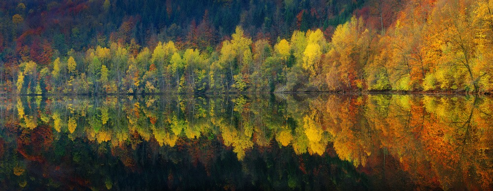 autumnal-silence-poster