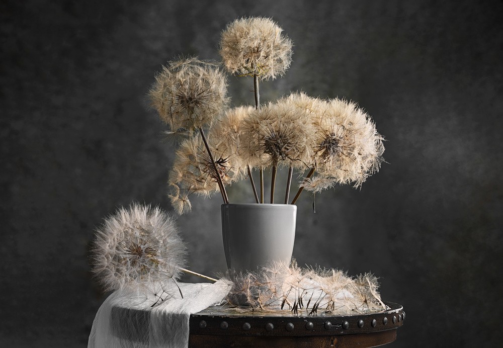 dandelion-seed-pod-poster