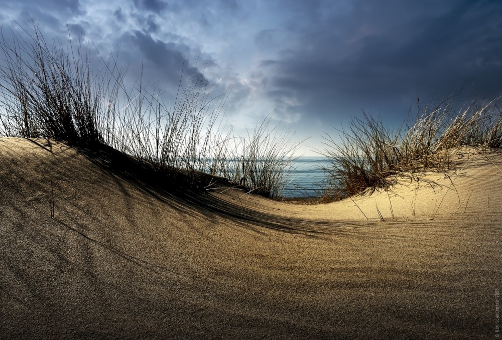 dunes-poster