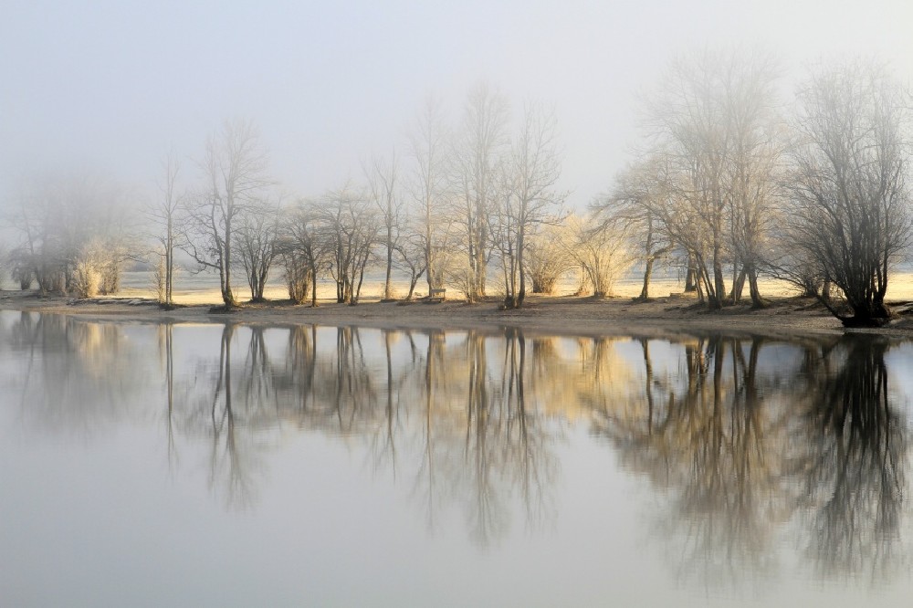 january-morning-poster