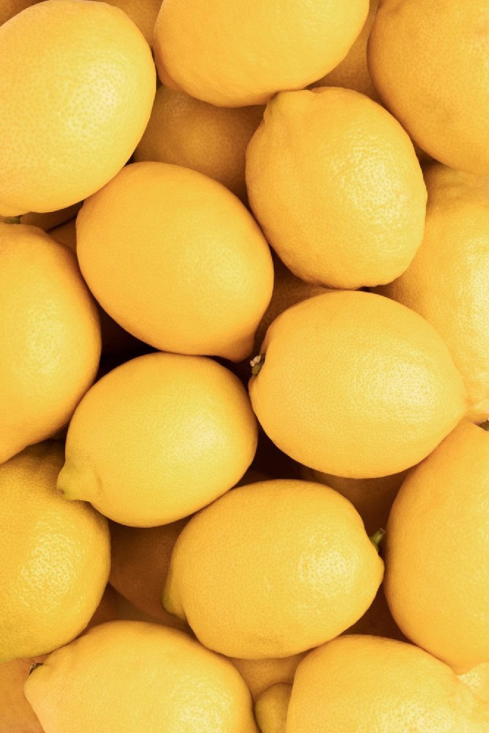 lemons-poster