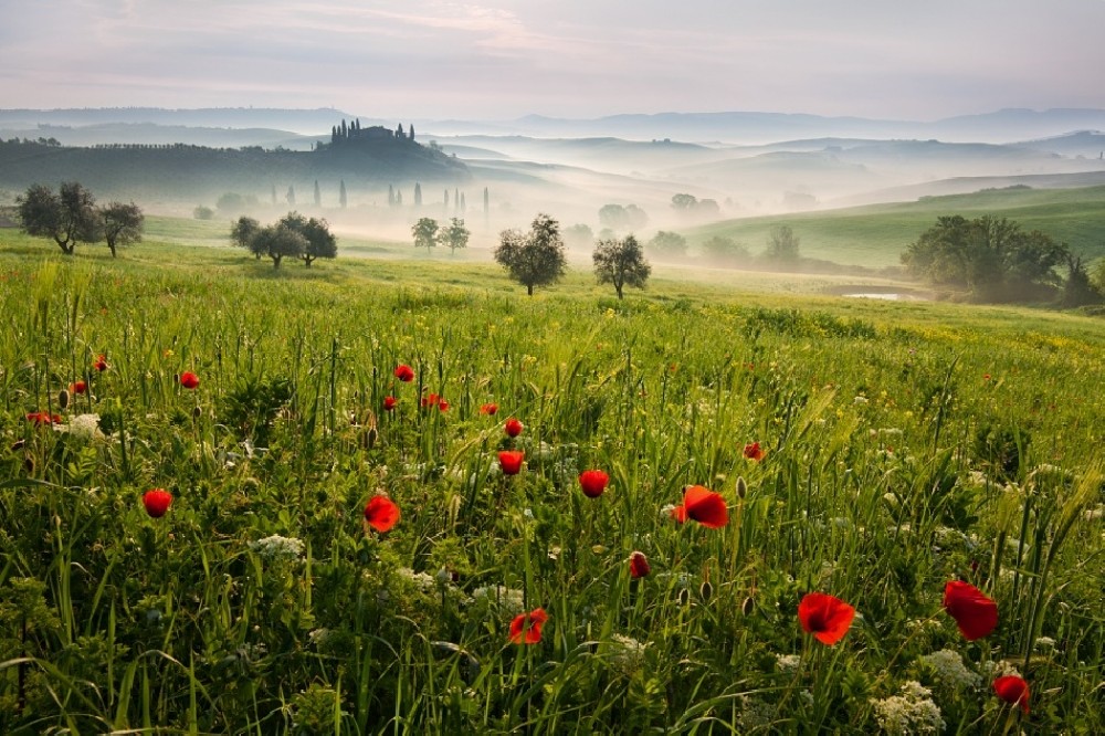 tuscan-spring-poster