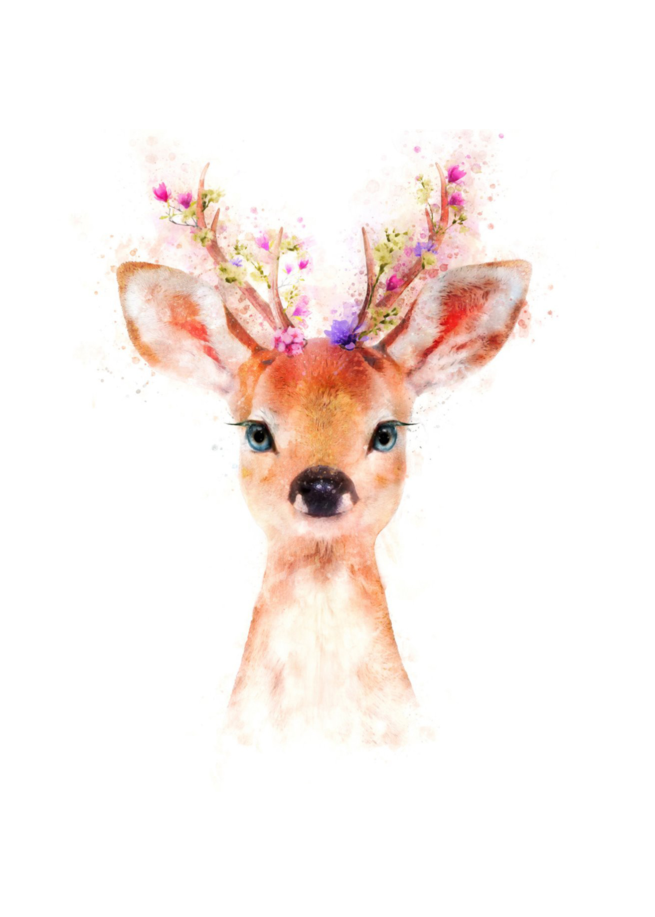 baby-deer