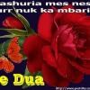 te_dua1~1
