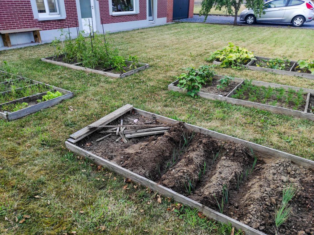 Onze moestuin in de voortuin