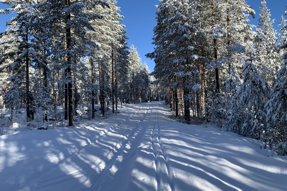 Tur i spår ©potpurri.net