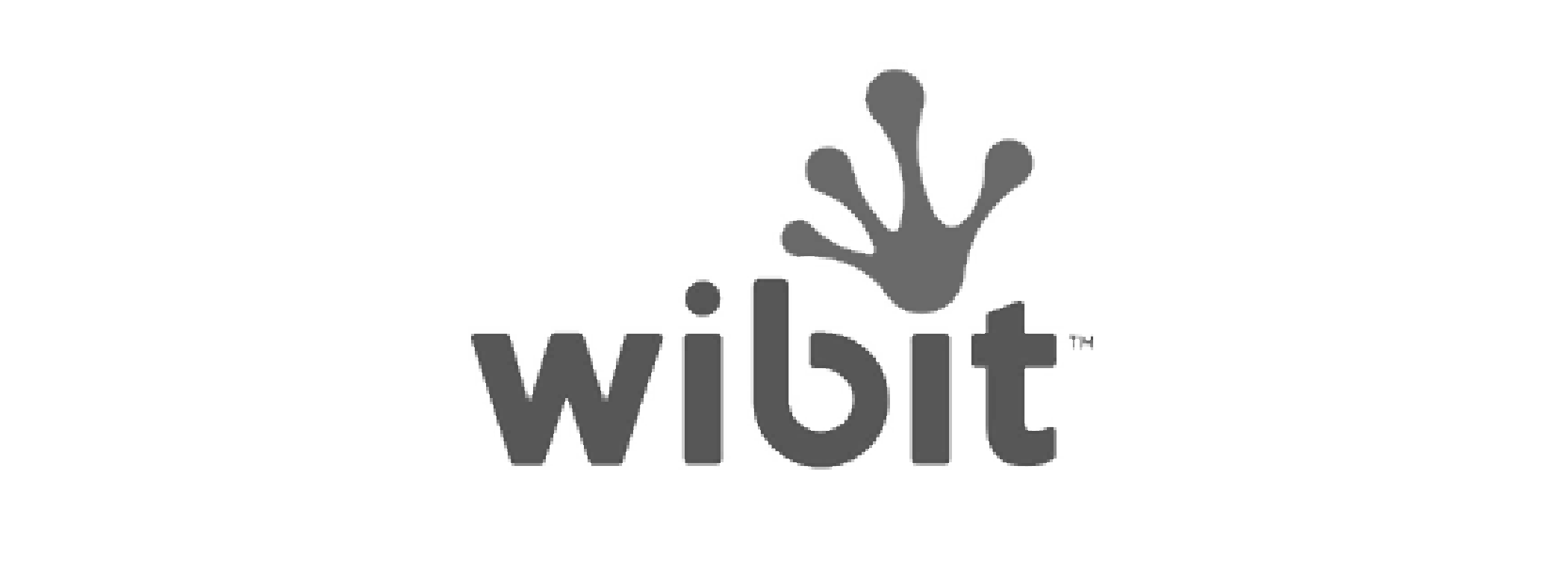 wibit_WEB