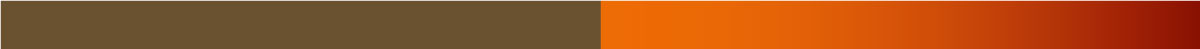 Logo_NeleCops_v02-kleuren