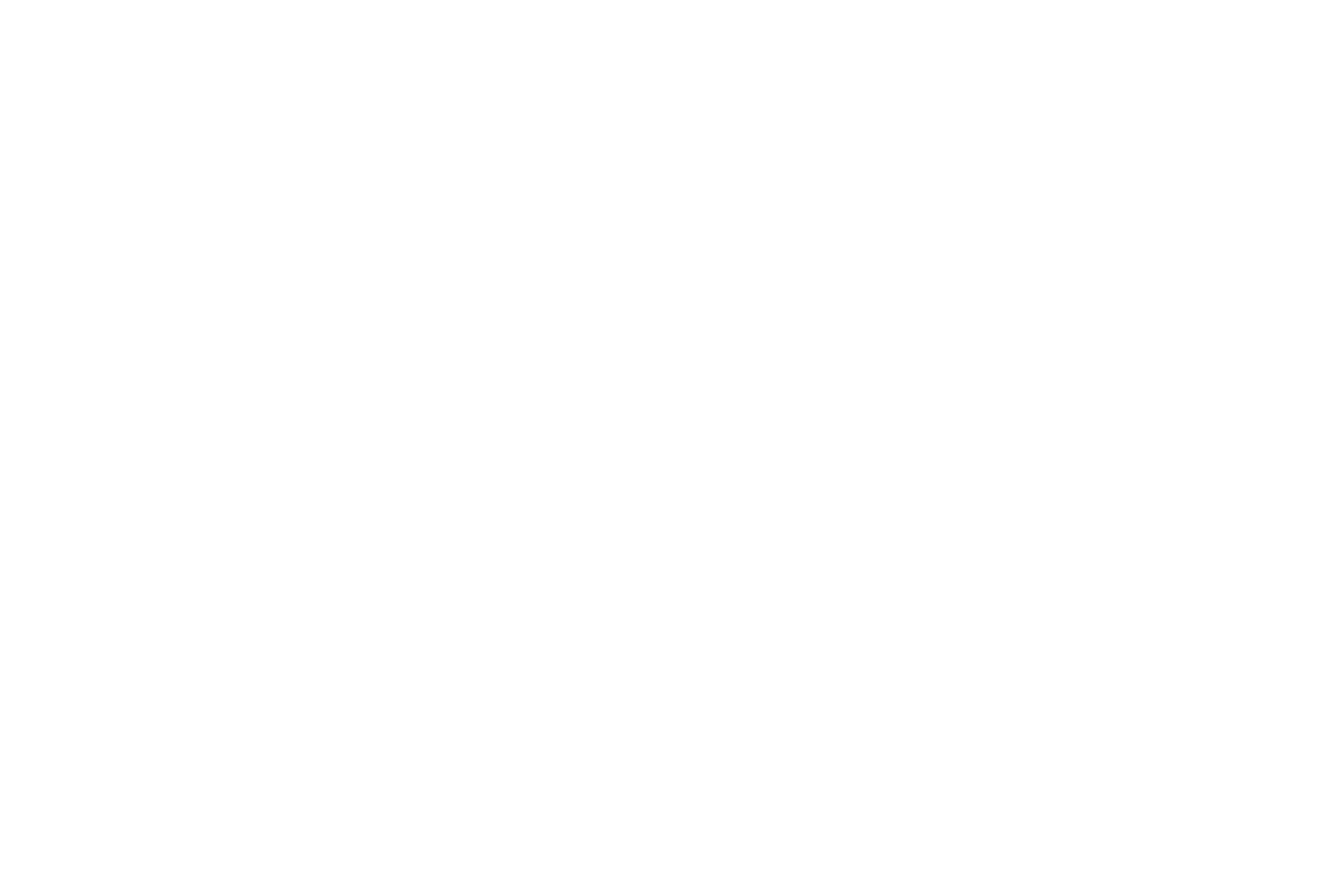 Logo_Arrow_v03_wit
