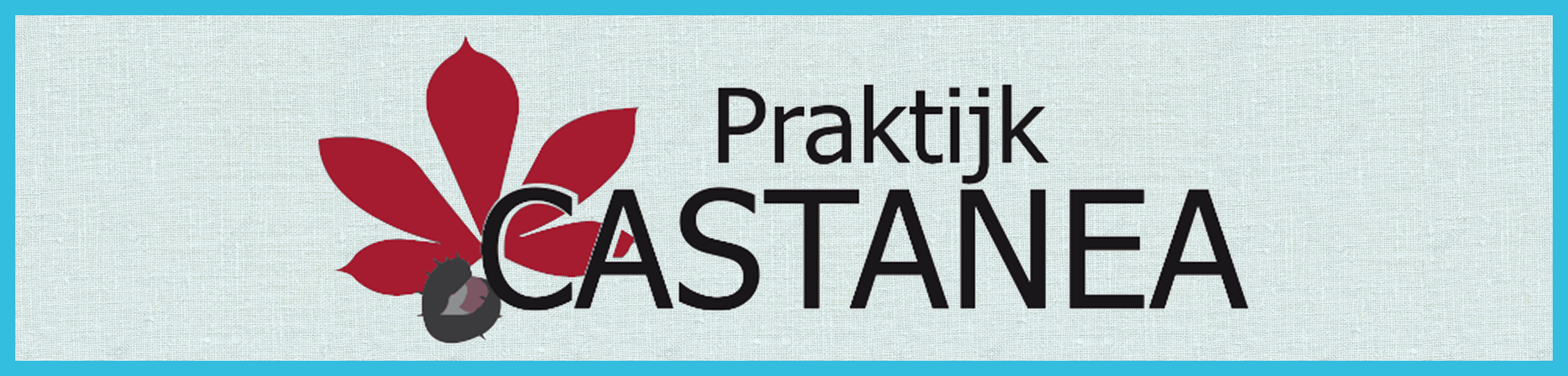 Praktijk Castanea