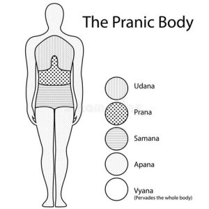 Het Pranische lichaam