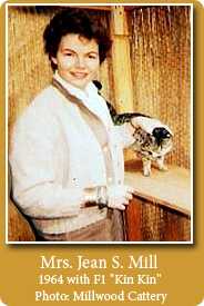 The history of the bengal cat