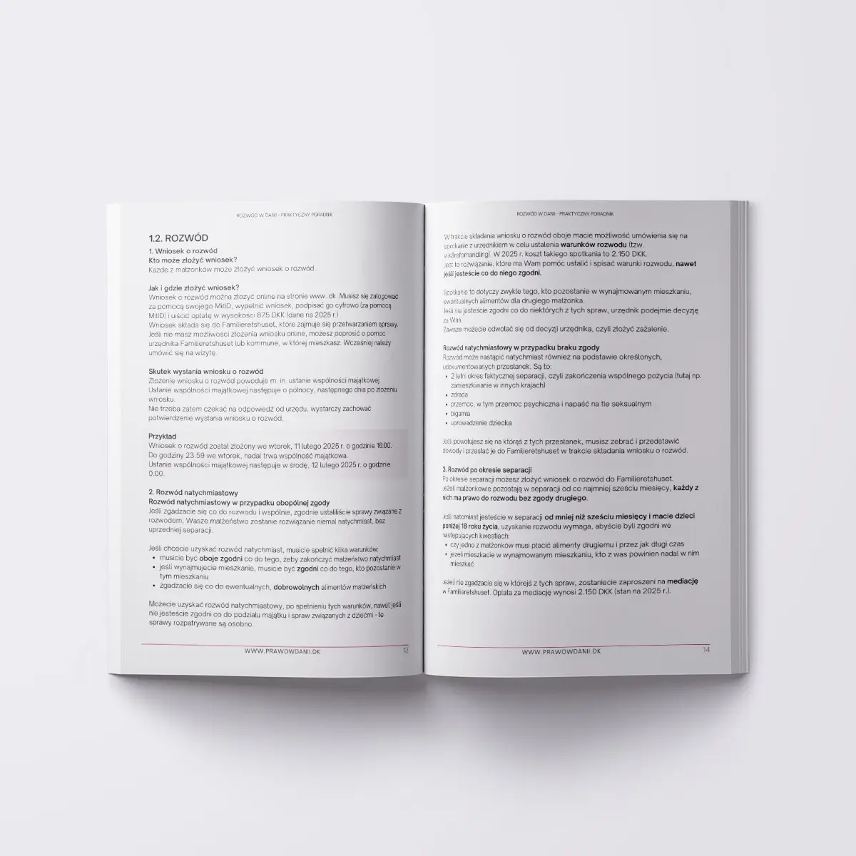 Środek e-booka 'Rozwód w Danii. Praktyczny poradnik', mockup.