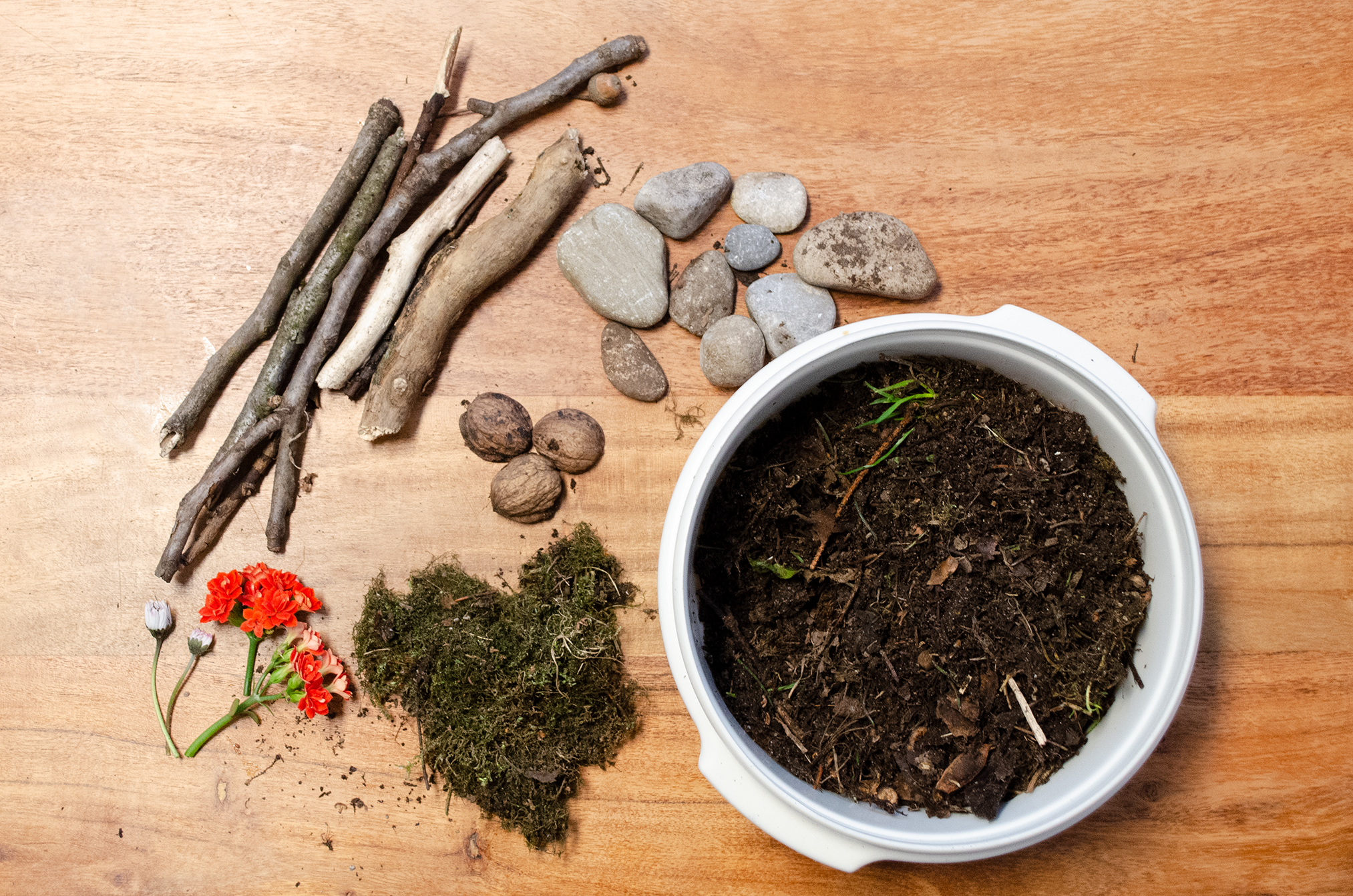 ewiges_terrarium_Dinge