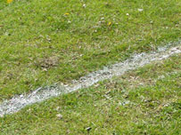 Presteigne St Andrews FC Presteigne St Andrews FC