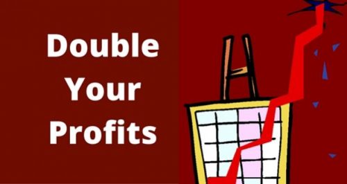 Double Your Profits For your Business & Your Business Success