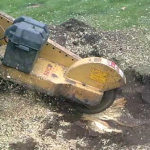S L Tree Services stump grinding