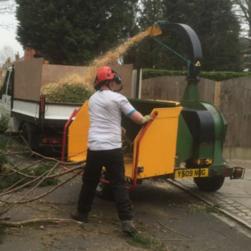 S L Tree Services wood chipping