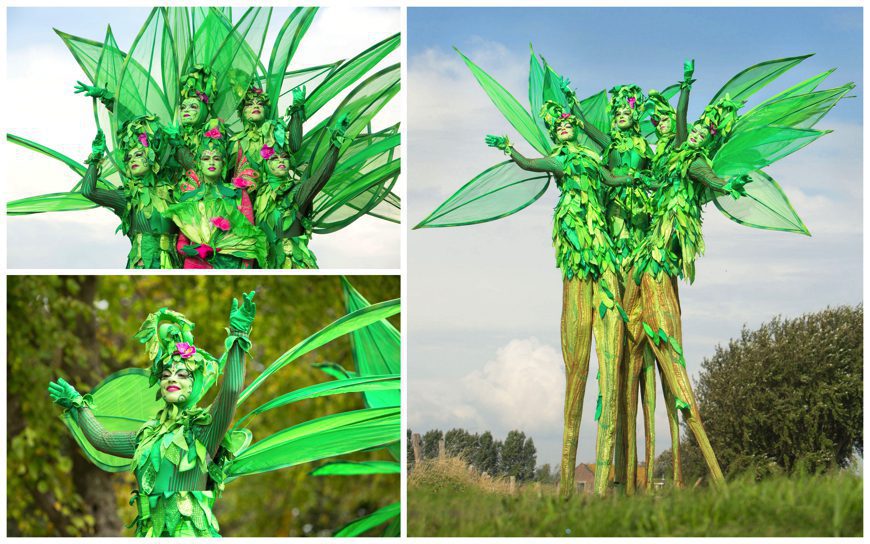 Ervaar magie en natuurlijke betovering met het betoverende bos van Levende Groene Bomen Steltenlopers. Boek nu voor een unieke ervaring vol magie en natuurpracht.