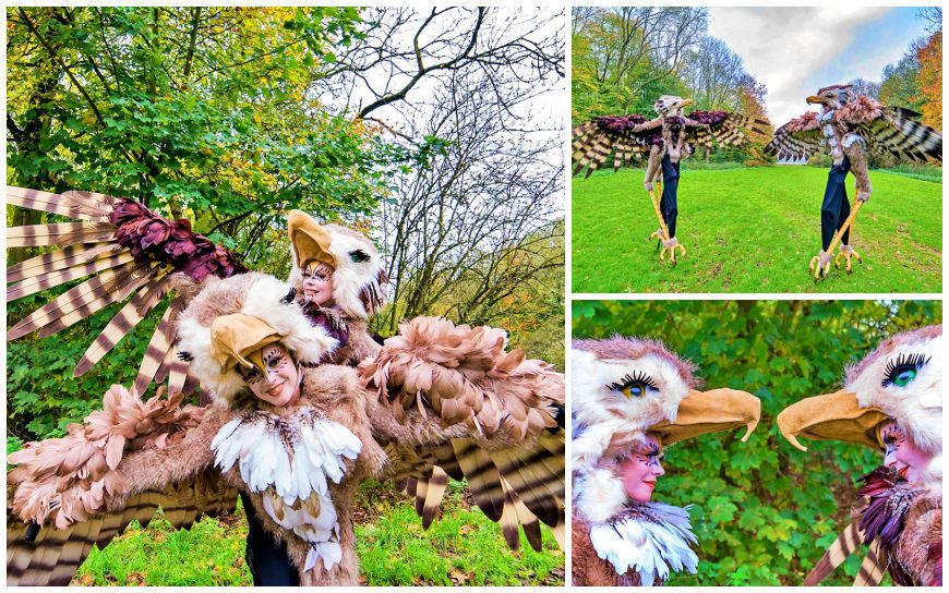 Ervaar de betovering van de Grote Vogels Steltenlopers. Een zeldzaam spektakel van elegantie en speelsheid op uw evenement