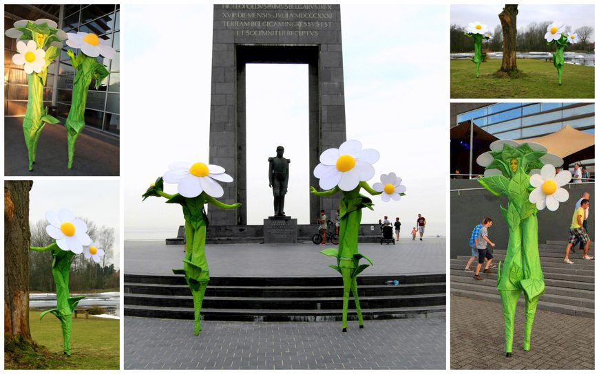 Natuurlijke Madeliefjes Steltenlopers: Betoverend bloemrijk spektakel voor elk evenement. Boek nu en laat uw locatie stralen als een veld vol bloemen!