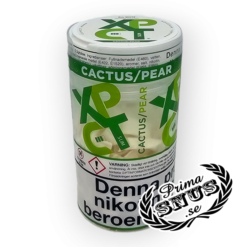 XPCT All White Tube Cactus & Pear