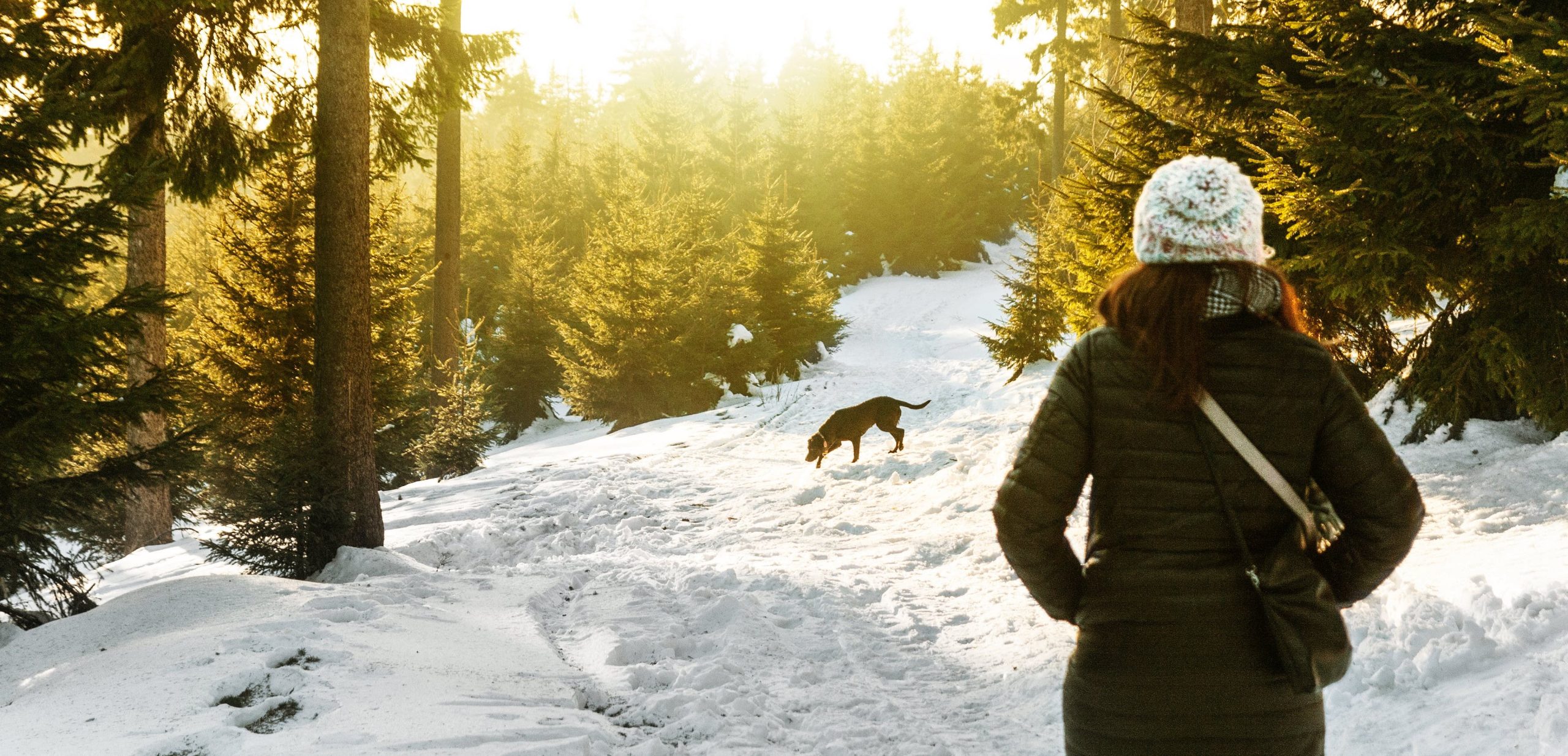Vrouw staat in het bos en kijkt toe hoe haar hond in de sneeuw aan het wandelen is