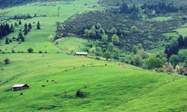 Rritet numri i turistëve të huaj që vizitojnë Kosovën