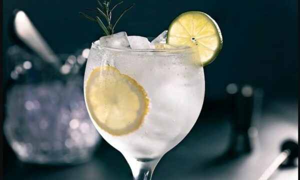 Ja pse gin tonik konsiderohet një nga pijet alkoolike më  të shëndetshme    Çfarë thotë shkenca