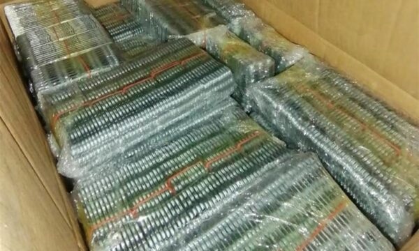 Kroatët dërgojnë në paraburgim serbin e kapur me 180 mijë pilula qetësuese