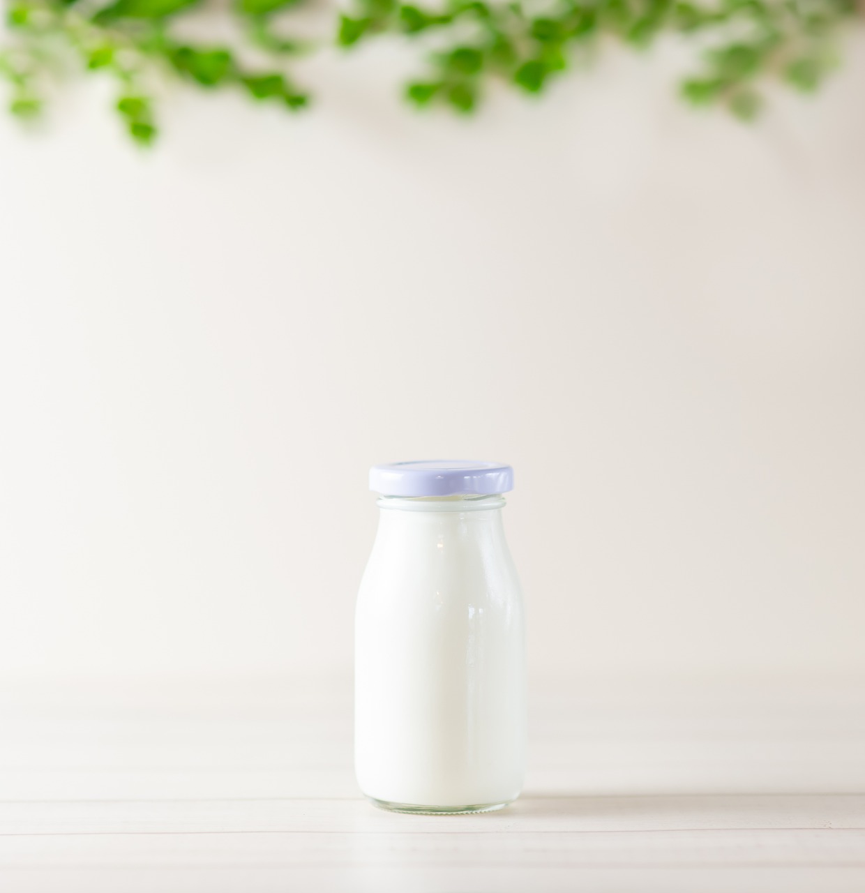melk-lactose melk-lactose